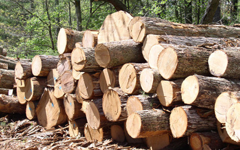 hồ sơ gỗ nhập khẩu, Nghị định 102/2020/NĐ-CP 