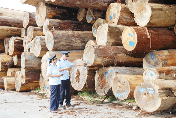 xác nhận nguồn gốc gỗ trước khi xuất khẩu, Nghị định 102/2020/NĐ-CP