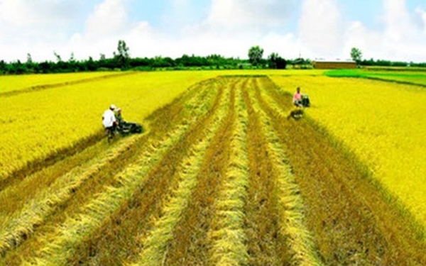 miễn, giảm thuế sử dụng đất nông nghiệp, Thông tư 120/2011/TT-BTC
