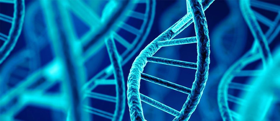 Sự kiện chuyển gen là kết quả của quá trình tái tổ hợp ADN, Nghị định 118/2020/NĐ-CP 