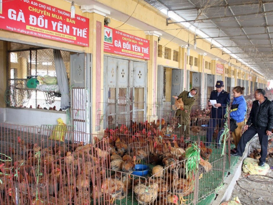 Chợ KD động vật nhỏ lẻ không có GCN vệ sinh thú y, Nghị định 90/2017/NĐ-CP 