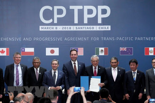 Hiệp định CPTPP, Thông tư 09/2020/TT-BKHĐT